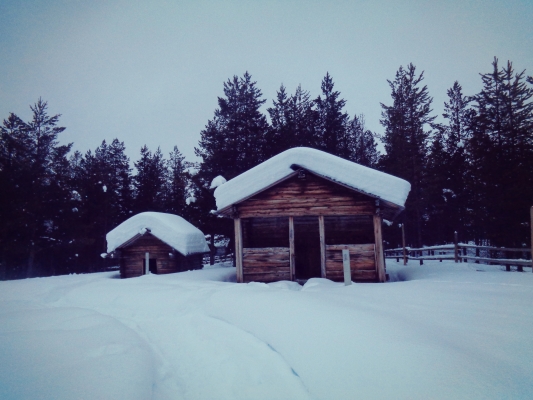 Open air museum. Múzeum Laponcov SIIDA v Inari